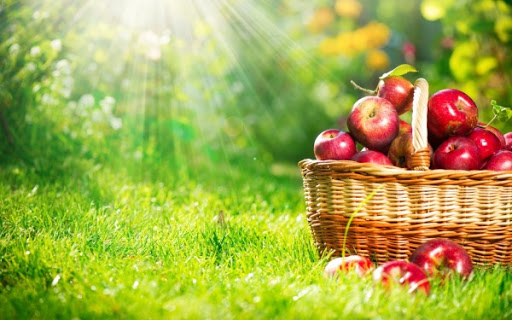 داستان-باغ سیب